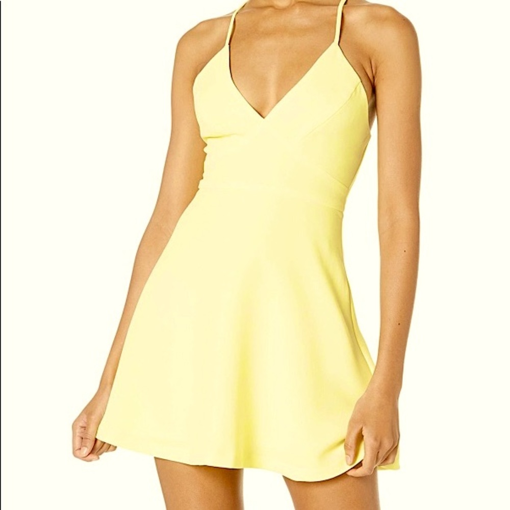 NWT BCBG mini swing dress